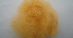 到底什么是纖維？用途又是什么呢？